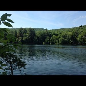 Meet your Posher, Wendy